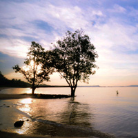 专业版激活的网站攻击工具