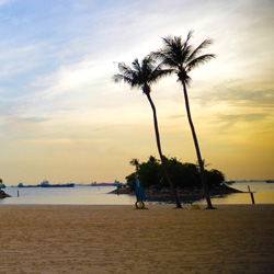 ddos攻击防御手段