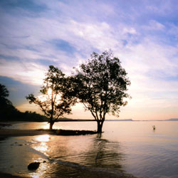 【Win11/10兼容】稳定运行的网站攻击防护